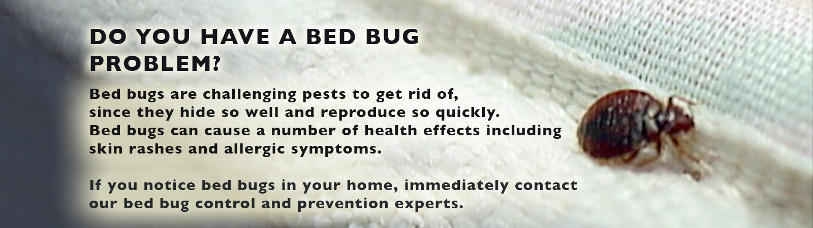 BED BUGS BELLEVILLE IL-BARNETT PEST SOLUTIONS